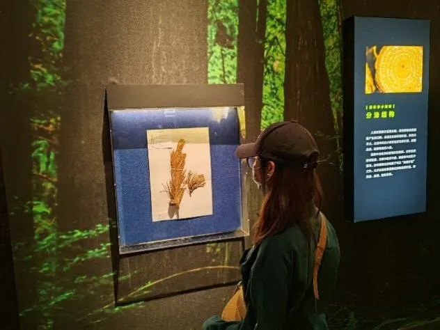 image-20240131224111-8